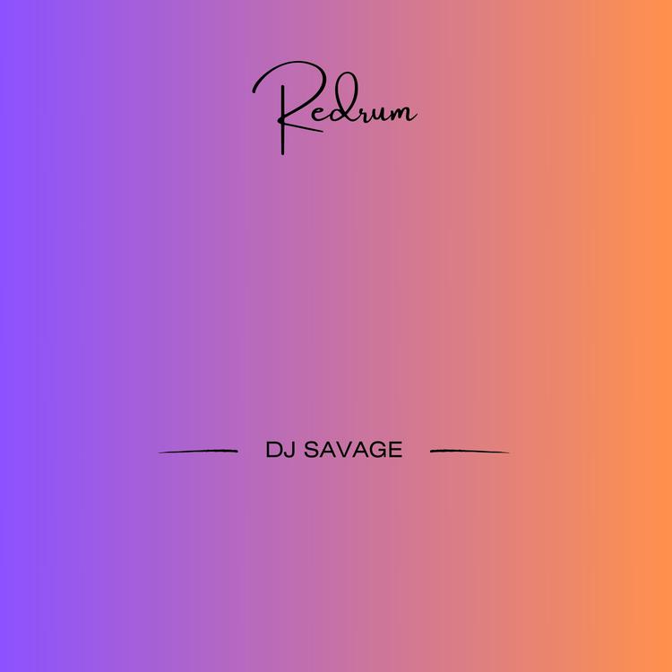 DJ Savage's avatar image