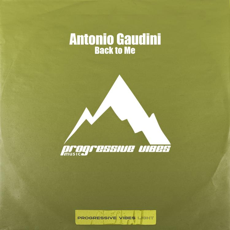 Antonio Gaudini's avatar image