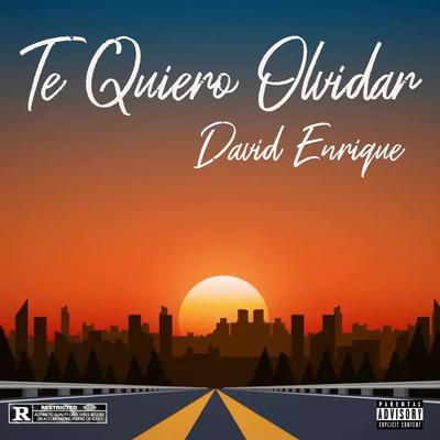 Te Quiero Olvidar's cover