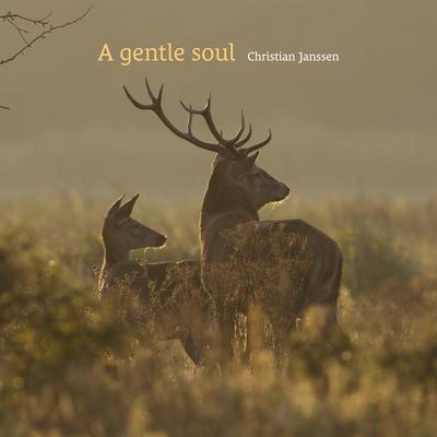 A gentle soul By Christian Janssen's cover