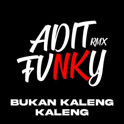Bukan Kaleng Kaleng By Adit Fvnky Rmx's cover