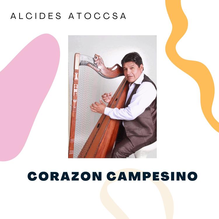 Alcides Toccsa's avatar image