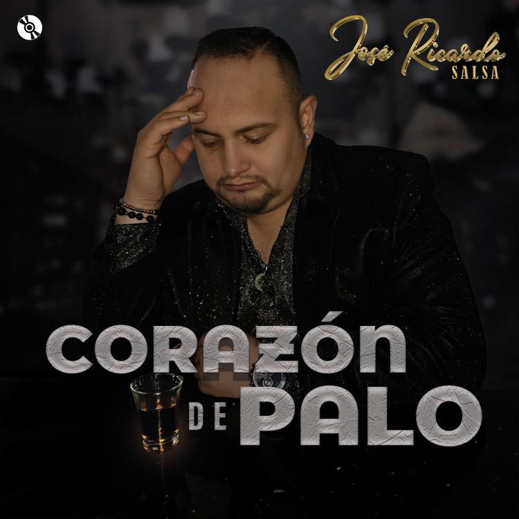 Jose Ricardo Salsa's avatar image