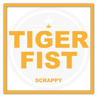 Tiger Fist's cover