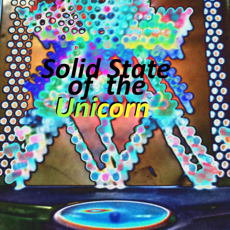 Solid State of the Unicorn's avatar image