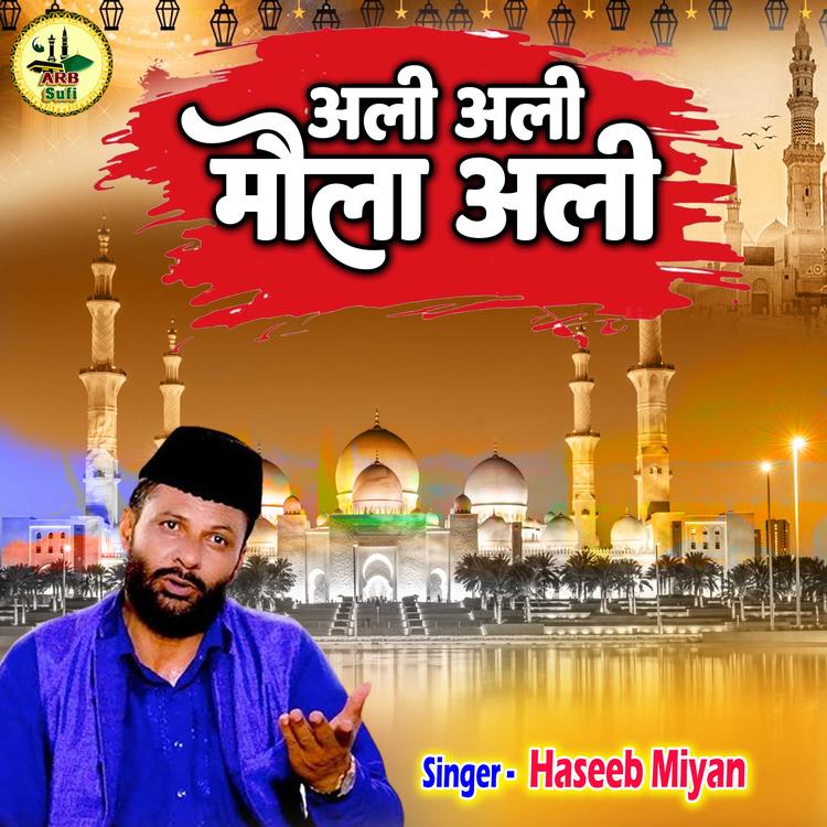 Haseeb Miyan's avatar image