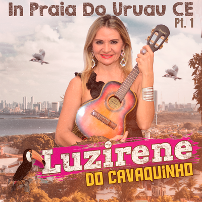 Xote Ecológico By Luzirene Do Cavaquinho's cover