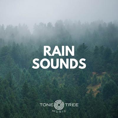 Tone Tree Music Presents: Rain Sounds's cover