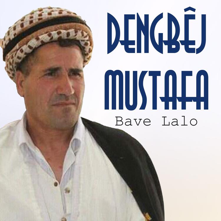 Dengbej Mustafa's avatar image