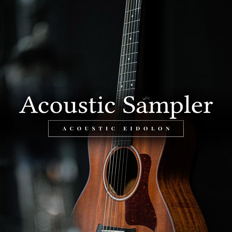 Acoustic Eidolon's avatar image