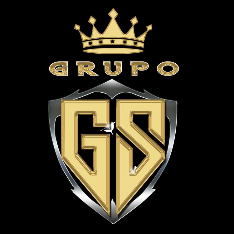 Grupo Gerencia Suprema's avatar image