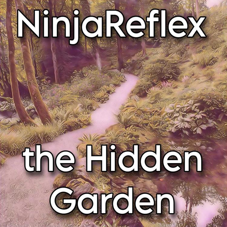 NinjaReflex's avatar image