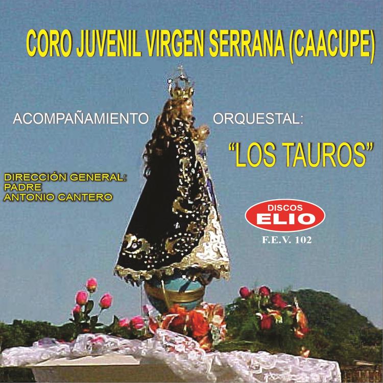 Coro Juvenil Virgen Serrana's avatar image