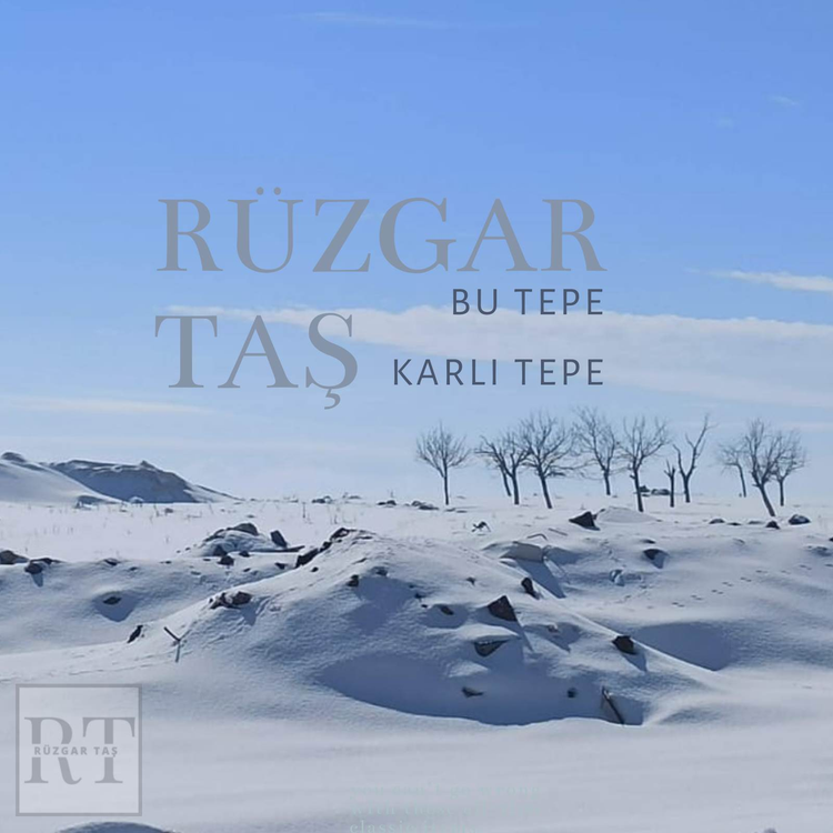 Rüzgar Taş's avatar image