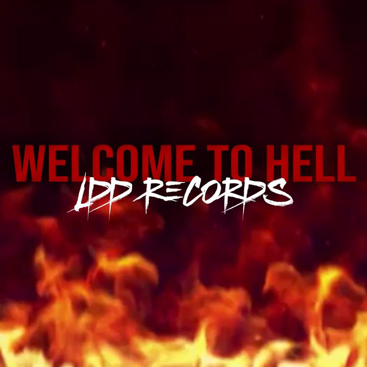 LDD Records's avatar image