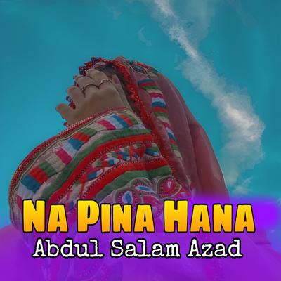 Na Pina Hana's cover