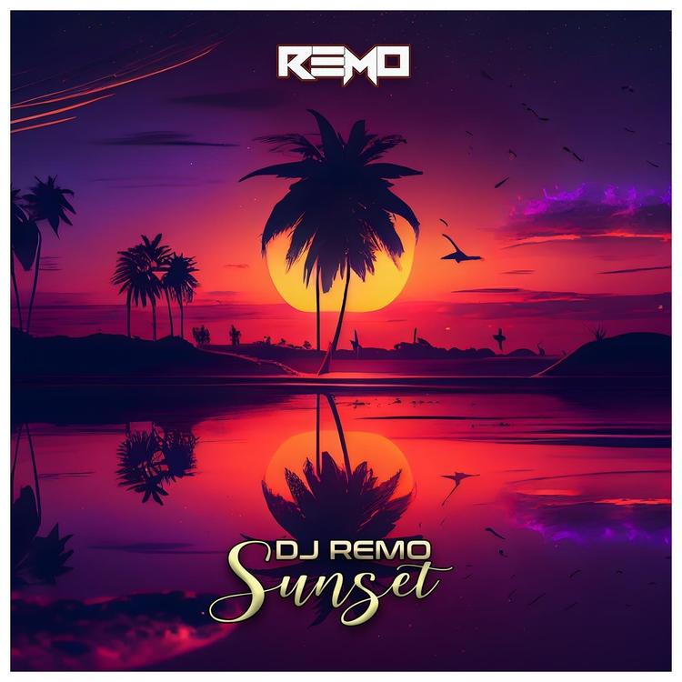 Dj Remo's avatar image