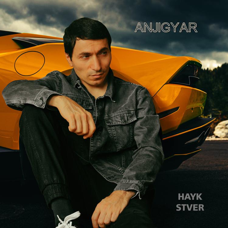 Hayk Stver's avatar image