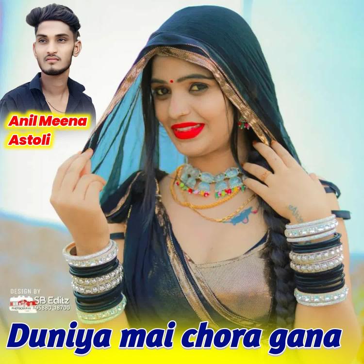 Anil Meena Astoli's avatar image