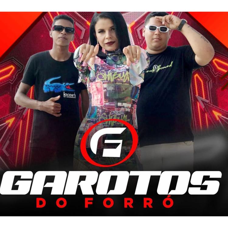 GAROTOS DO FORRÓ's avatar image