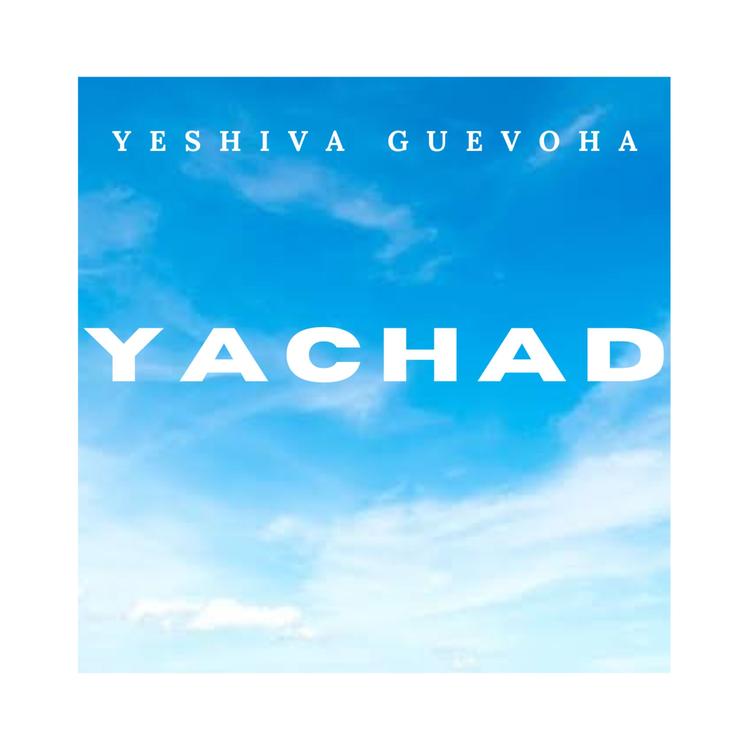 YESHIVA GUEVOHA's avatar image