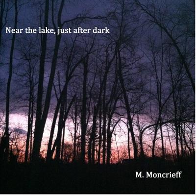 Near the Lake, Just After Dark's cover