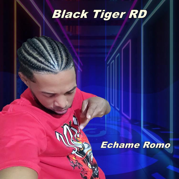 Black Tiger RD's avatar image