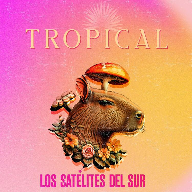 Los Satélites del Sur's avatar image