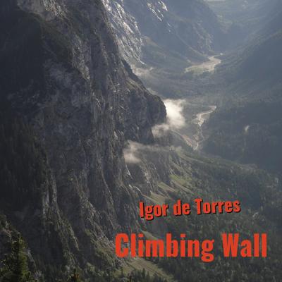 Climbing Wall By Igor de Torres's cover