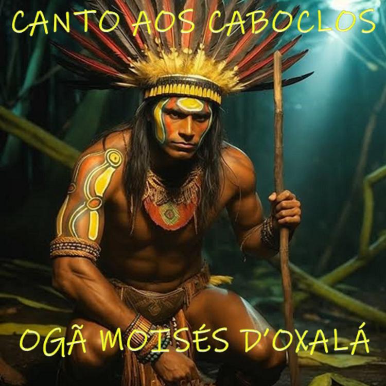Ogã Moisés D'Oxalá's avatar image