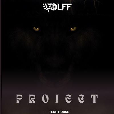 Project (Extended)'s cover