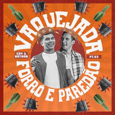 Vaquejada, Forró e Paredão Pt. 3's cover