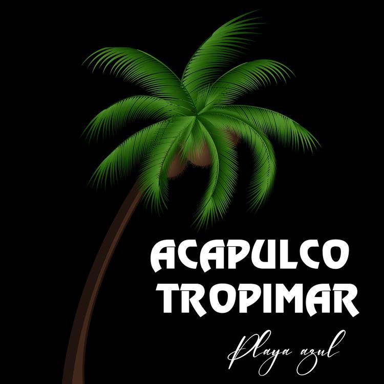 Acapulco Tropimar's avatar image