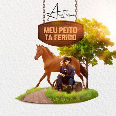 Meu Peito Tá Ferido's cover