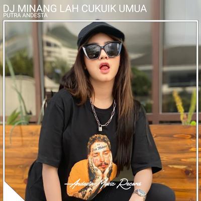 Lah Cukuik Umua (Dj Minang) By PUTRA ANDESTA's cover