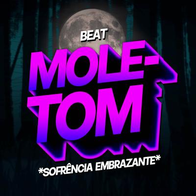 BEAT M0LETOM - Sofrência Embrazante By Sr. Nescau's cover