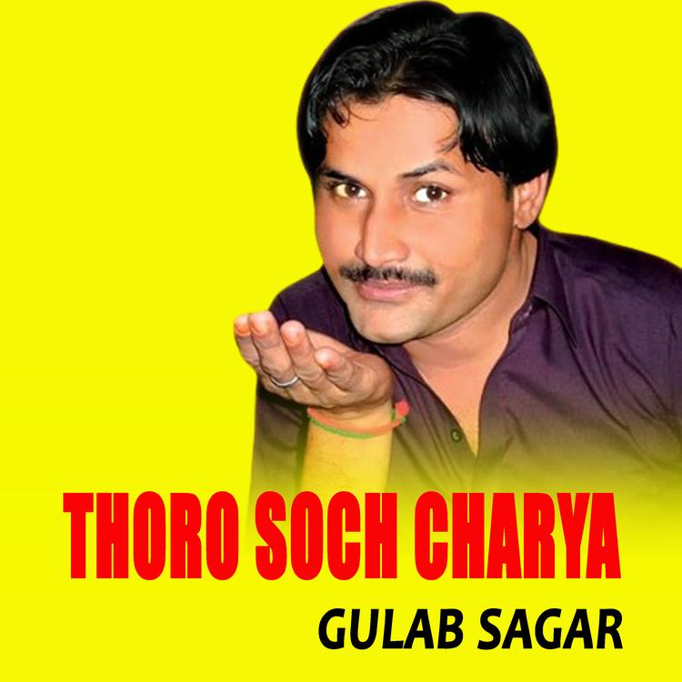 Gulab Sagar's avatar image