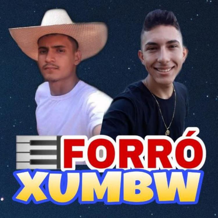 Forró Xumbw's avatar image