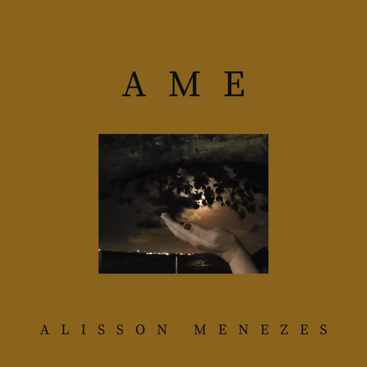Alisson Menezes's avatar image
