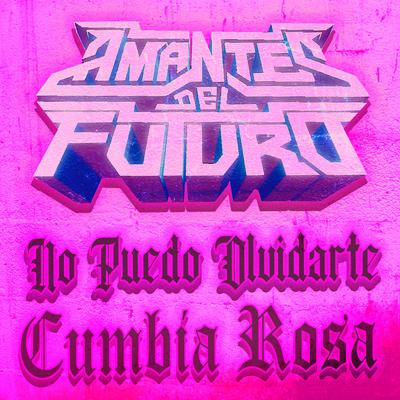 No Puedo Olvidarte Cumbia Rosa's cover