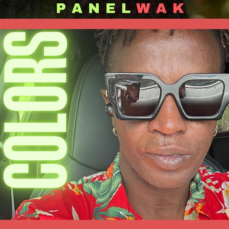 PANELWAK's avatar image