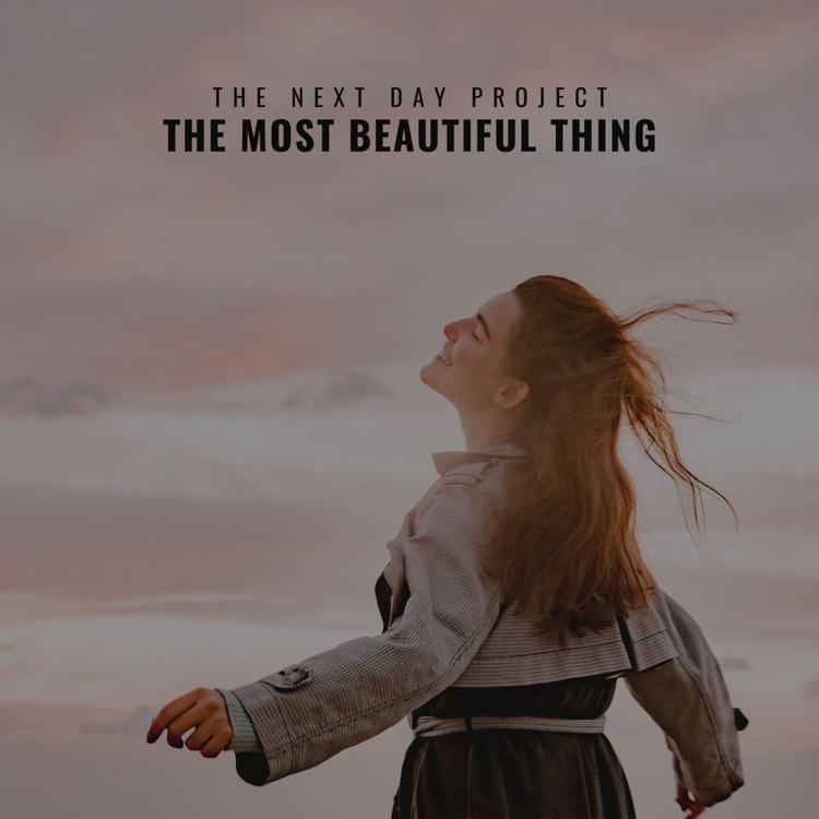 The Next Day Project's avatar image