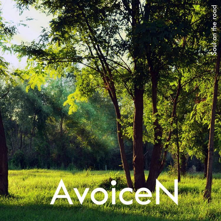 AvoiceN's avatar image