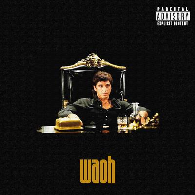 waoh's cover