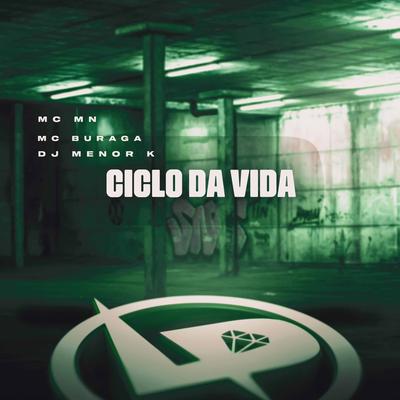 Ciclo da Vida's cover