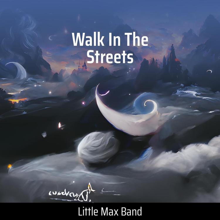 LITTLE MAX BAND's avatar image