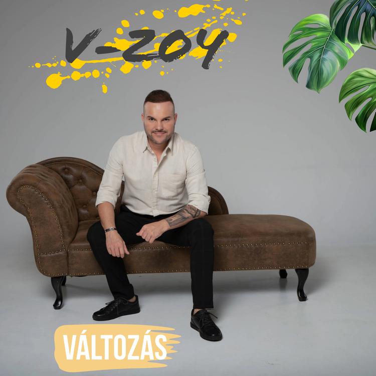 V-Zoy's avatar image