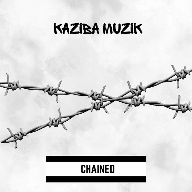 Kaziba Muzik's avatar image