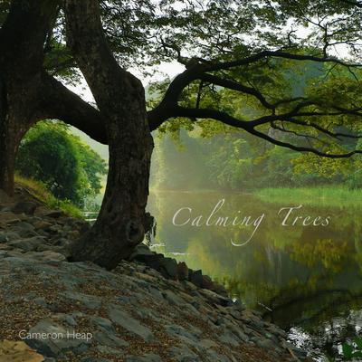 Calming Trees's cover