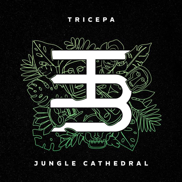 Tricepa's avatar image